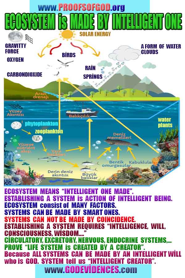 proofs of god, evidences of god, signs of god, god-proofs, proofs-god