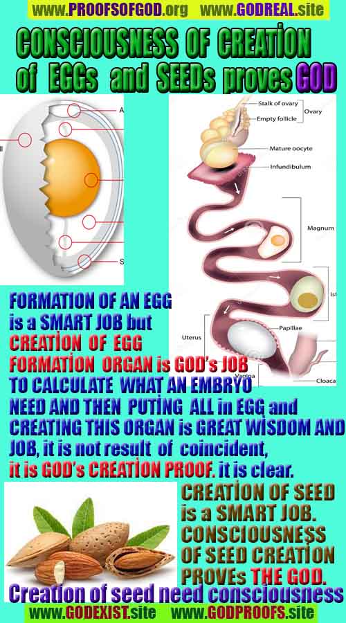 proofs of god, evidences of god, signs of god, god-proofs, proofs-god